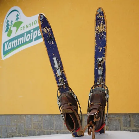 Гостевой дом Pension Kammloipe